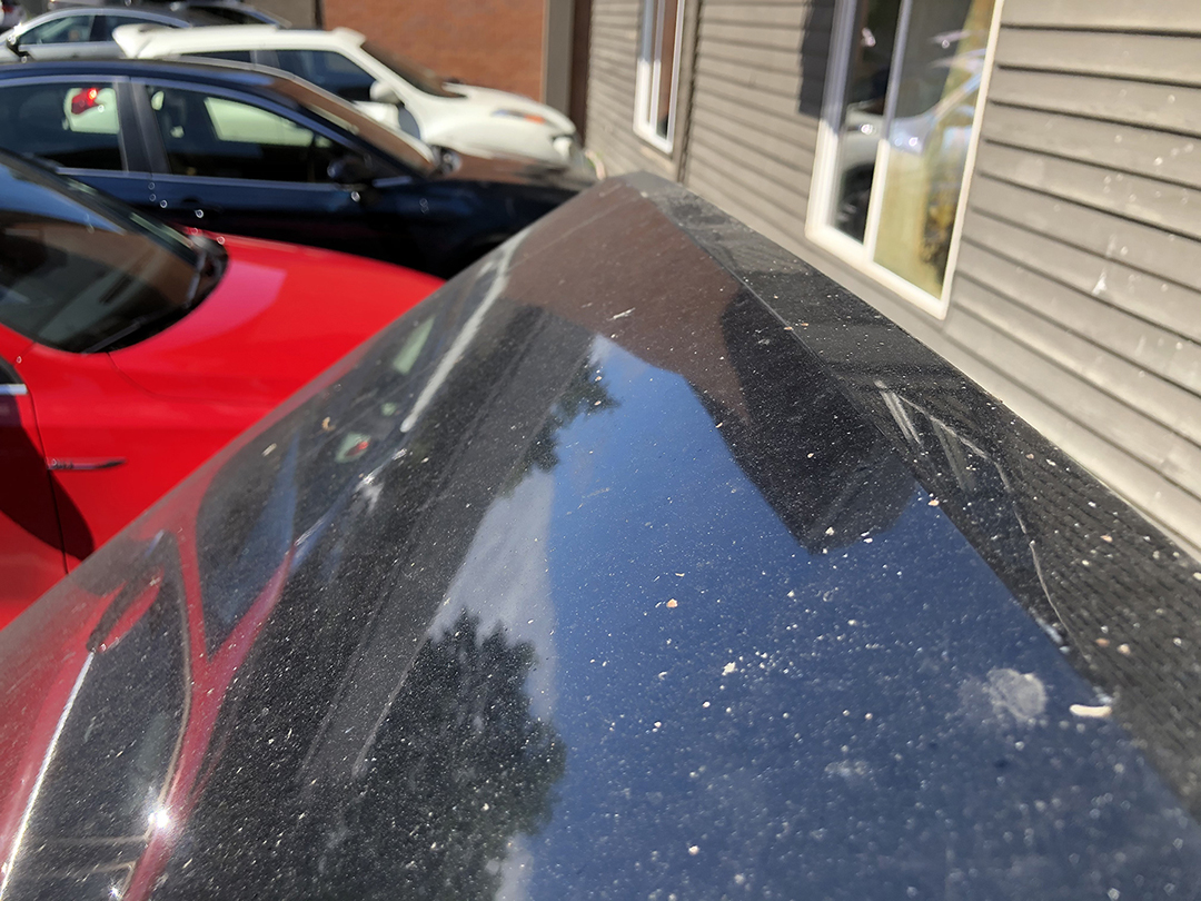 For Sale Scirocco 16v Deluxe - Image 35