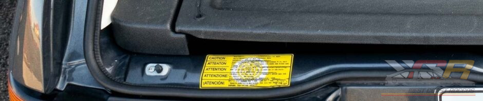 Scirocco Hatch Spare Tire Decal